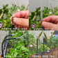 🔥LAST DAY SALE 50% OFF🚿360° Curved Garden Automatic Irrigation System