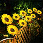 🌻Lampes solaires LED tournesol pour jardin — 3 achetées, 2 offertes